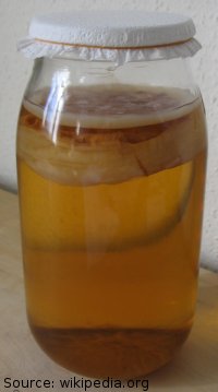Champignon de k&eacute;fir de lait
